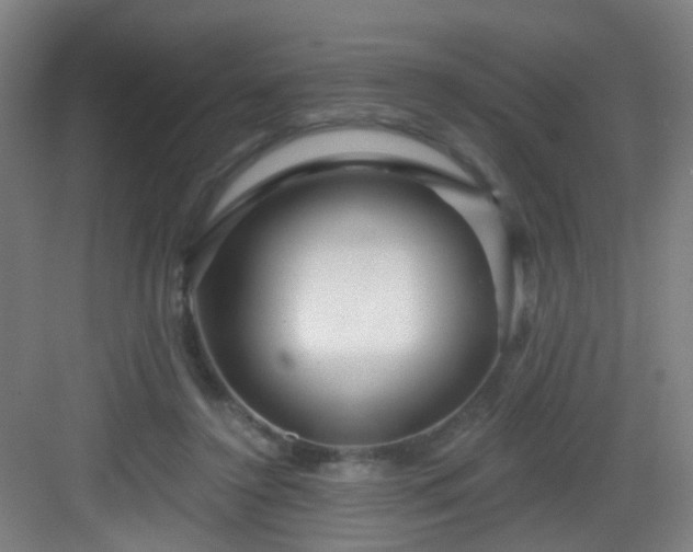 X0000082930356200702081547