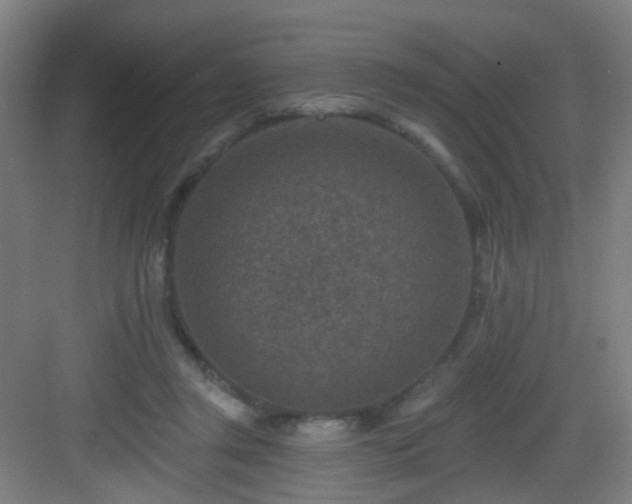 X0000082930357200702081547