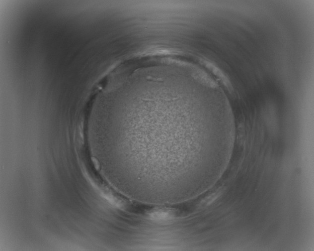 X0000082930358200702081547