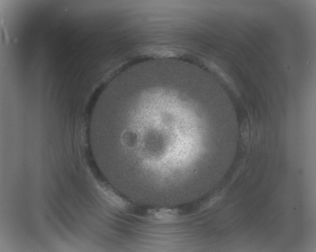 X0000082930359200702081547