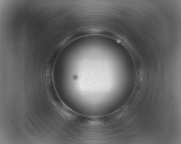 X0000082930360200702081547