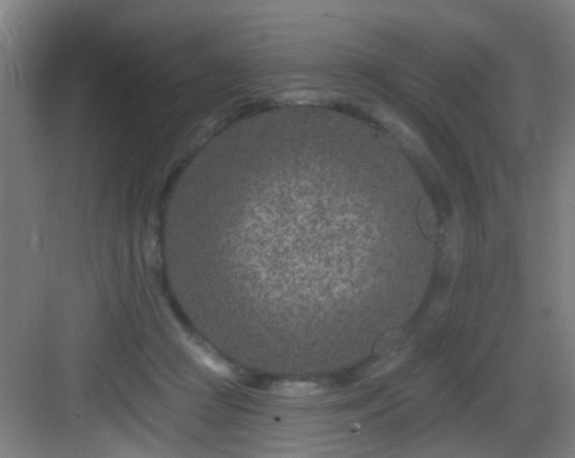 X0000082930361200702081547