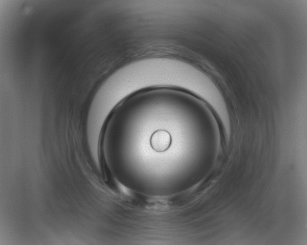 X0000082930362200702081547