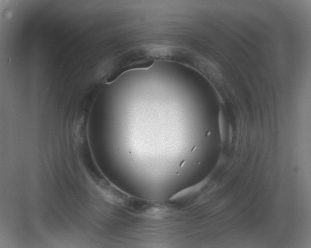 X0000082930364200702081547