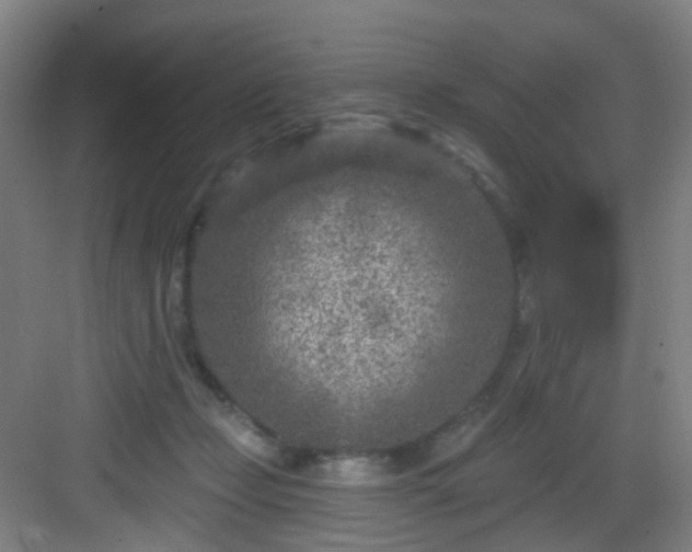 X0000082930365200702081547