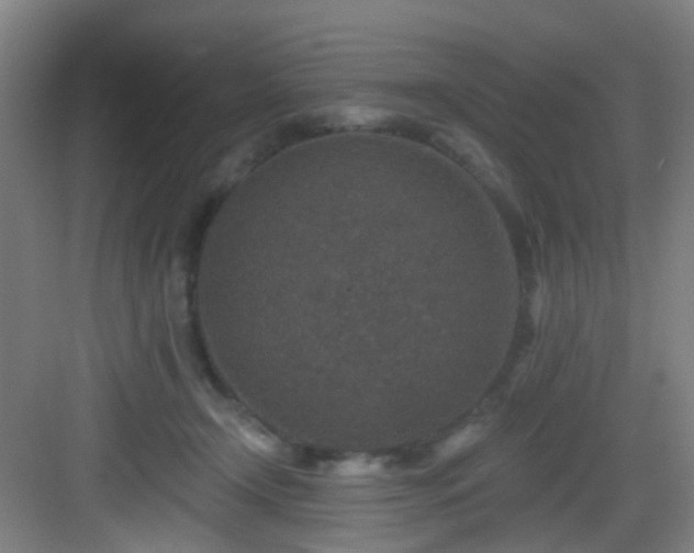 X0000082930366200702081547