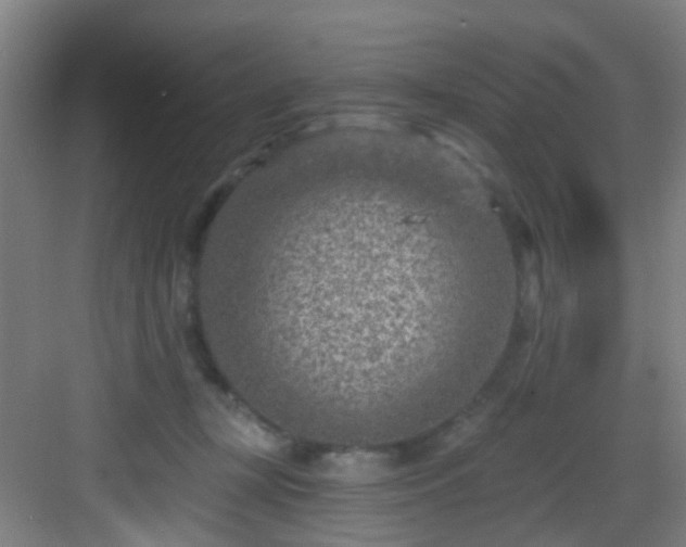 X0000082930367200702081547