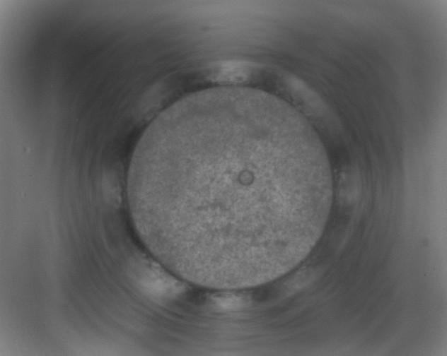 X0000082930370200702081547