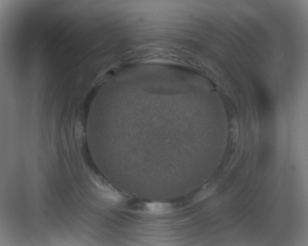 X0000082930371200702081547