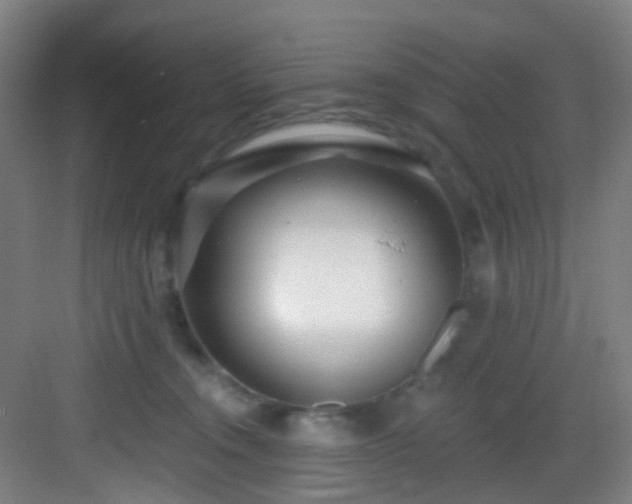 X0000082930372200702081547