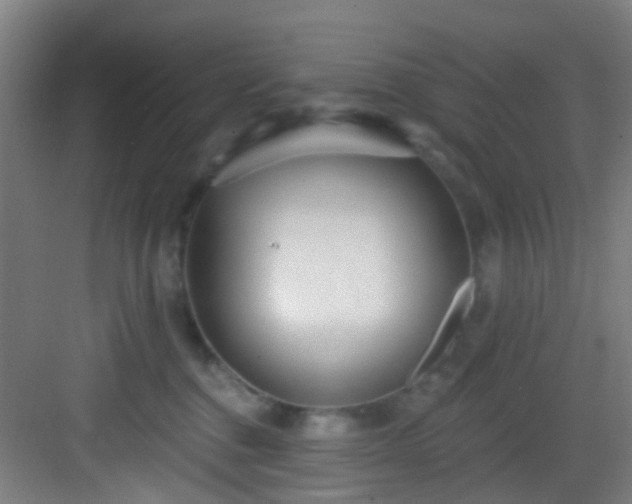 X0000082930376200702081547