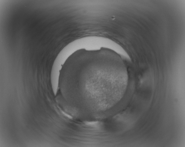 X0000082930380200702081547