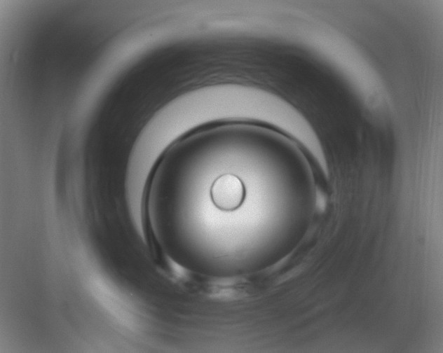 X0000082930382200702081547