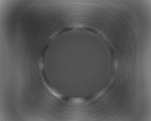 X0000082930383200702081547