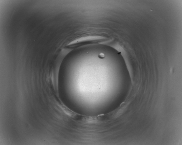 X0000082930384200702081547