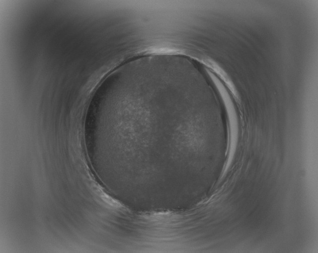 X0000082930385200702081546