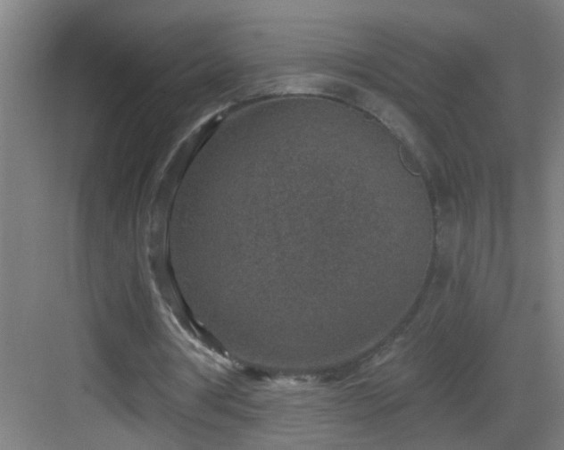 X0000082930386200702081546