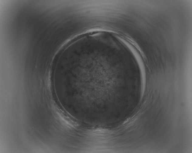 X0000082930387200702081546