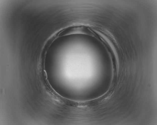 X0000082930388200702081546