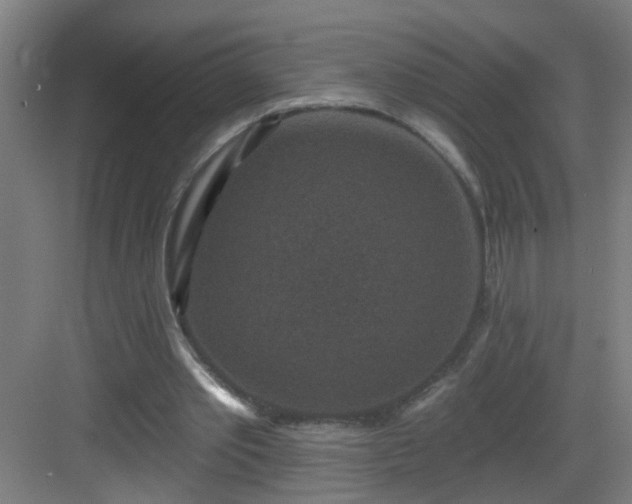 X0000082930389200702081546