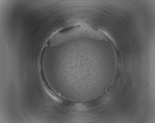 X0000082930390200702081546