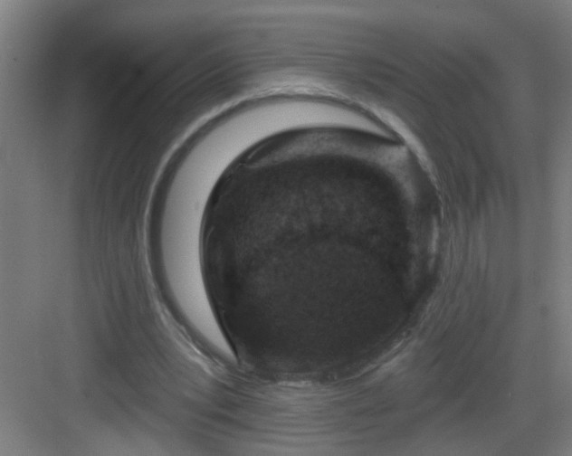 X0000082930391200702081546