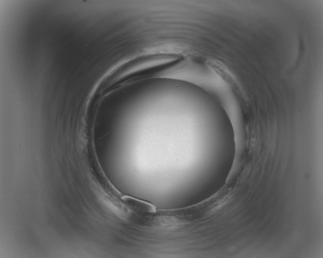 X0000082930392200702081546