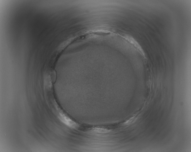 X0000082930393200702081546