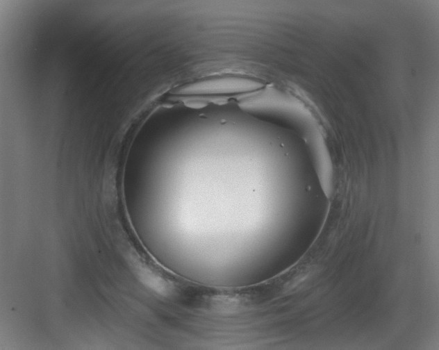 X0000082930394200702081546