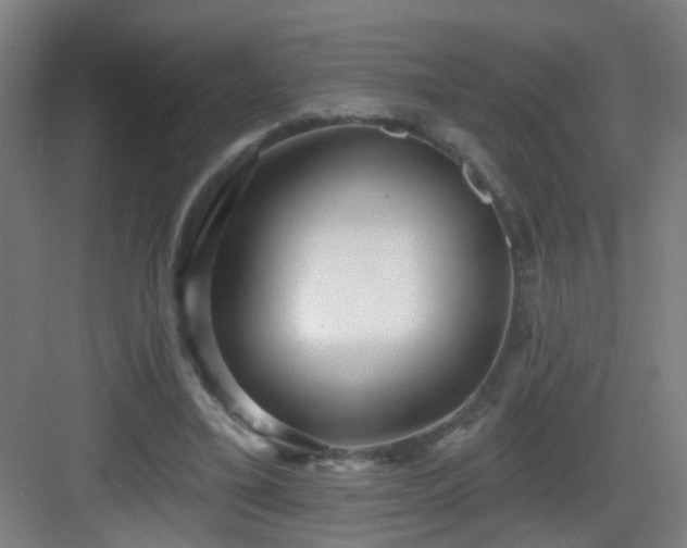 X0000082930395200702081546