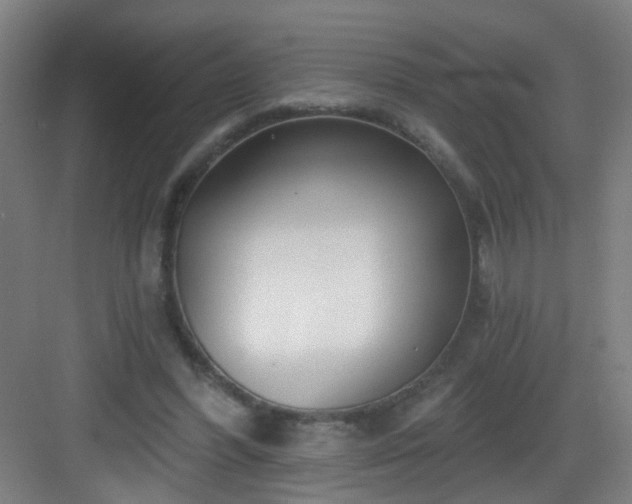 X0000082930396200702081546