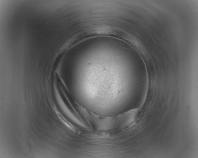 X0000082930397200702081546