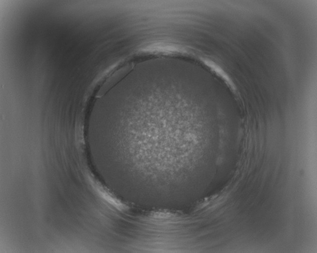 X0000082930399200702081546