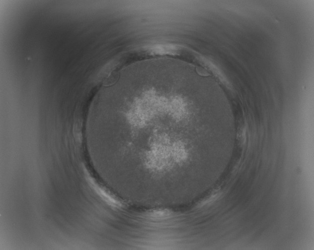 X0000082930402200702081546