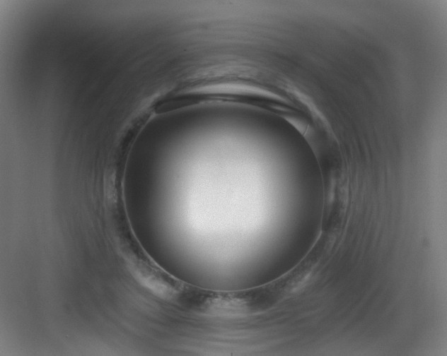 X0000082930403200702081546