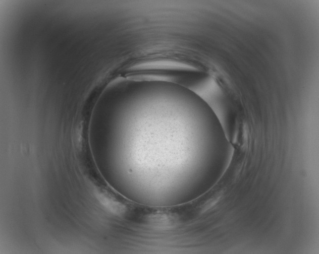 X0000082930404200702081546