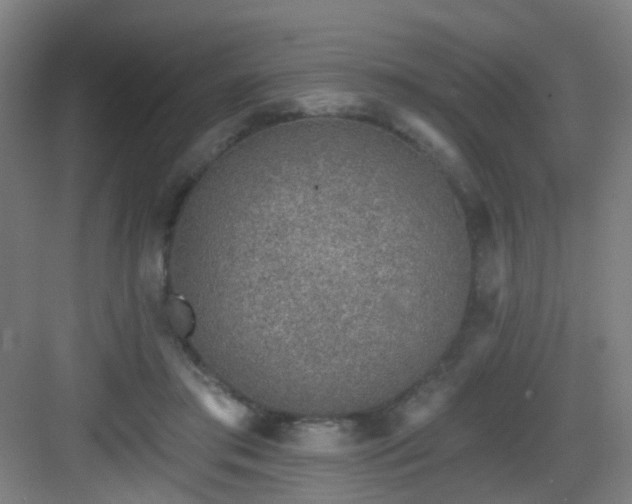 X0000082930405200702081546