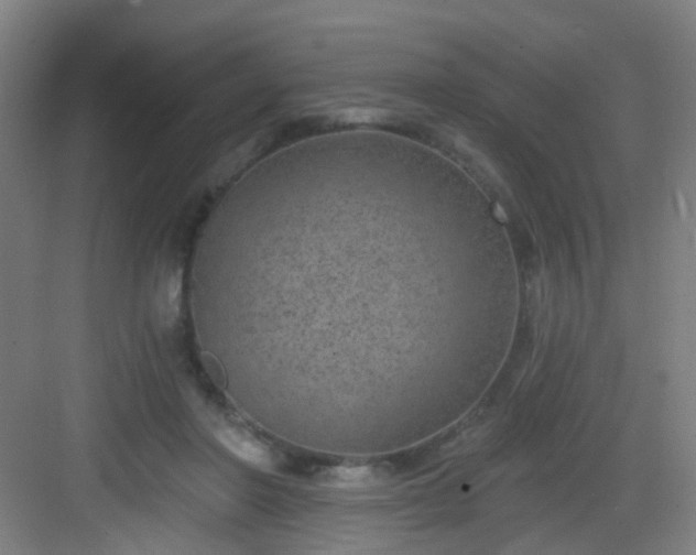 X0000082930406200702081546