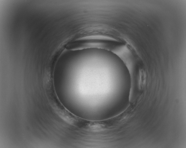 X0000082930407200702081546