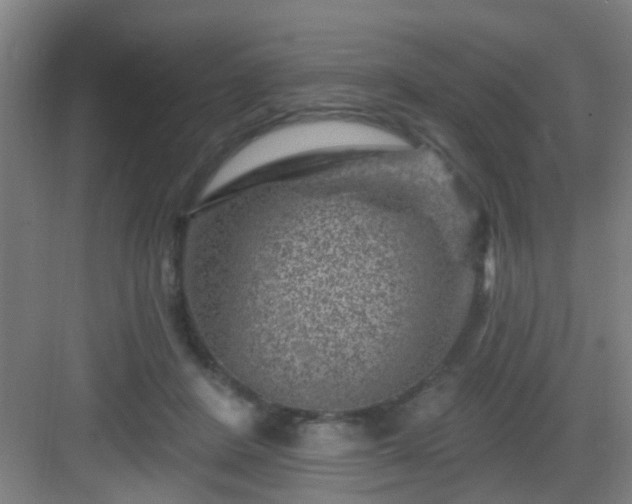 X0000082930408200702081546