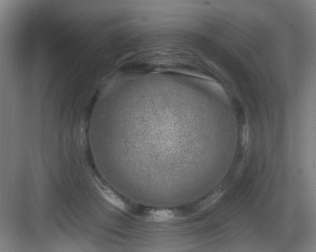 X0000082930409200702081546