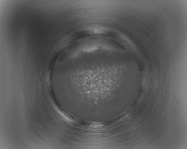 X0000082930410200702081546