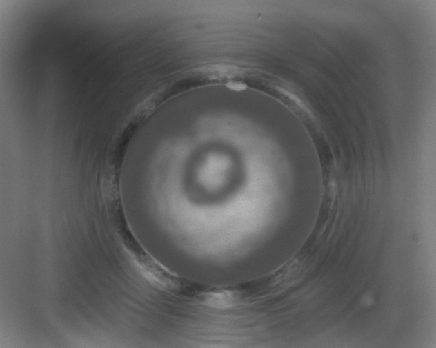 X0000082930411200702081546