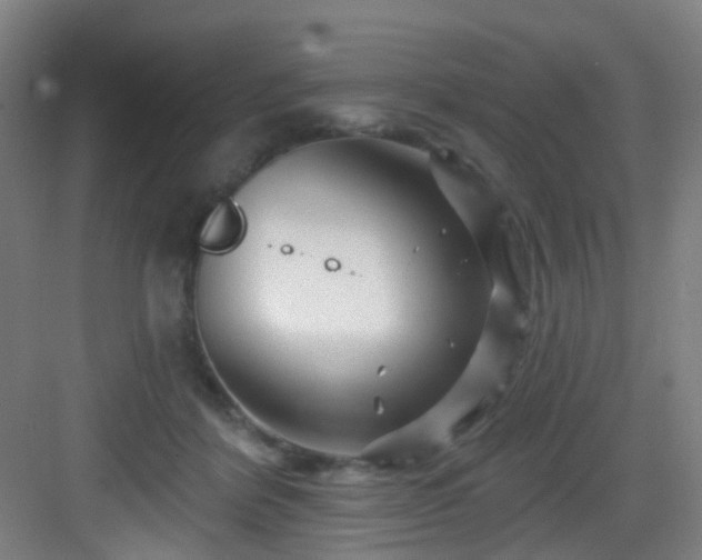 X0000082930412200702081546