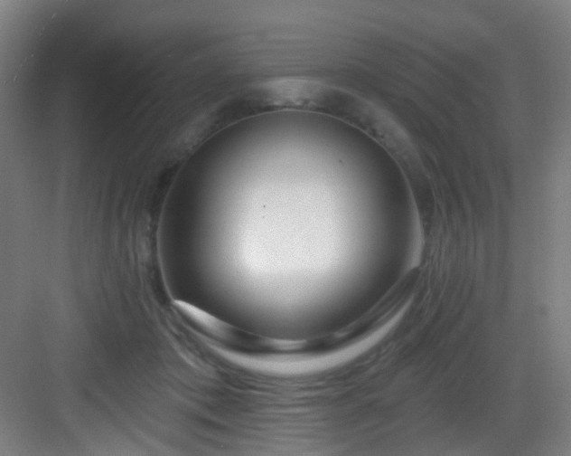 X0000082930413200702081546