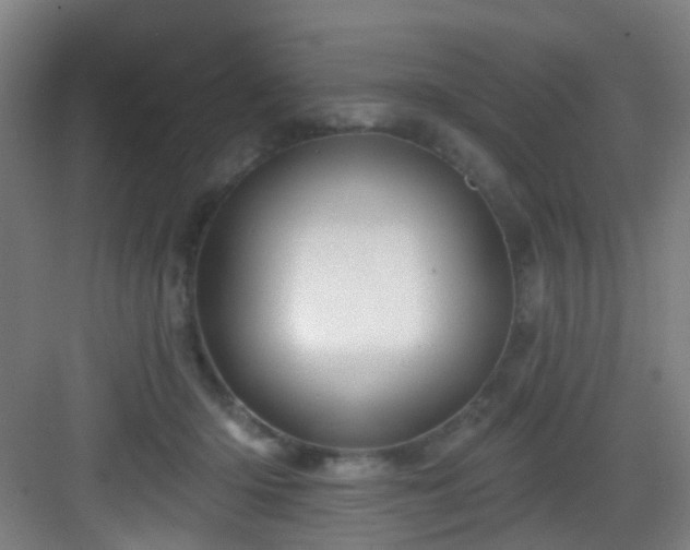 X0000082930414200702081546