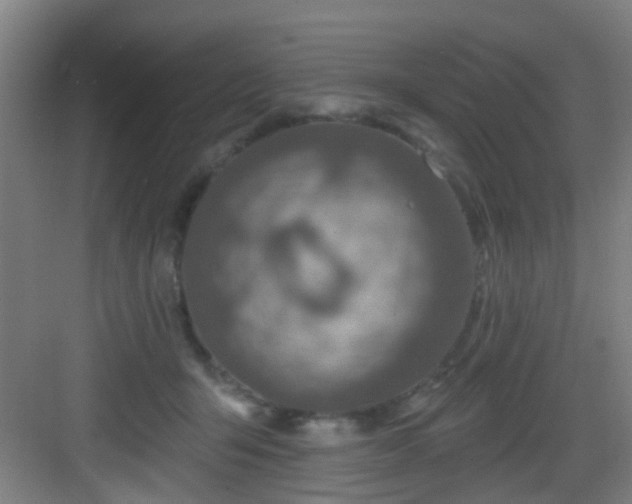 X0000082930415200702081546