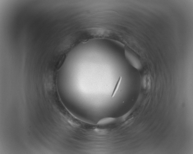 X0000082930416200702081546