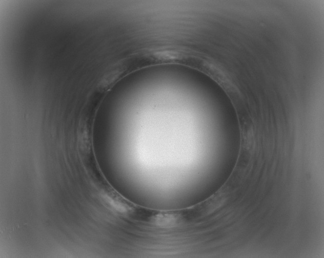 X0000082930418200702081546