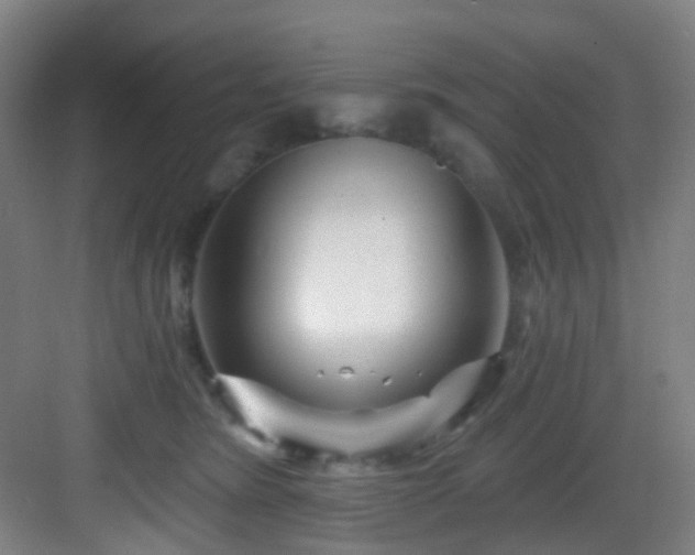 X0000082930420200702081546